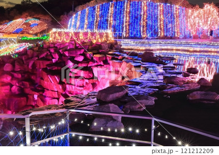 【香川県】冬の国営讃岐まんのう公園 (イルミネーション) 121212209