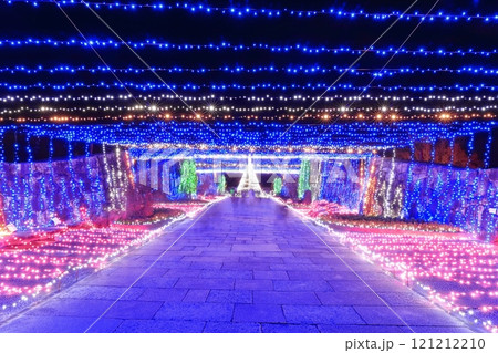 【香川県】冬の国営讃岐まんのう公園 (イルミネーション) 121212210