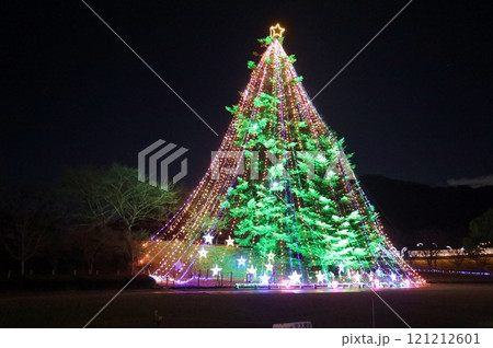 宮ケ瀬湖ジャンボクリスマスツリー 121212601