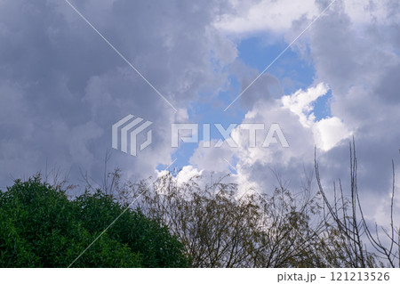 Landscape Green trees and cloudy sky Landscape Green trees and cloudy sky 121213526