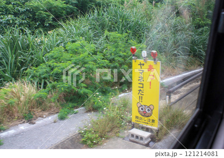 イリオモテヤマネコ　飛び出し注意　看板 121214081