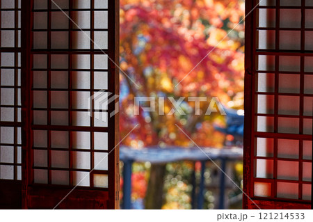 障子越しに見る紅葉 障子越しに見る紅葉 121214533