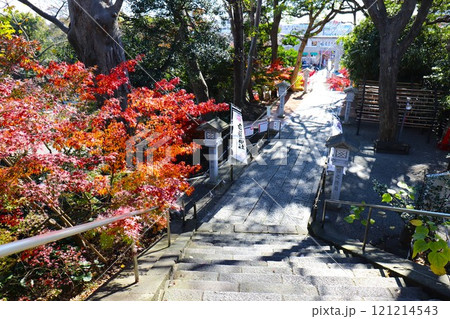 白旗神社 参道 121214543