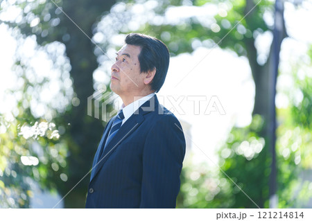 60代のビジネスマン 121214814
