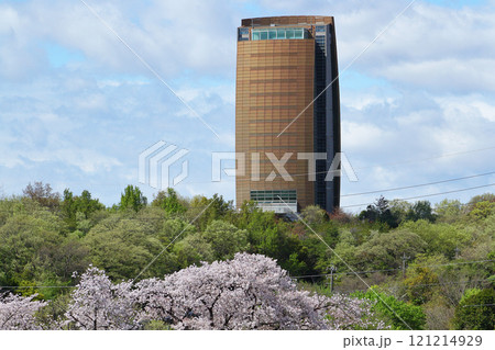 名古屋市　平和公園　桜 121214929