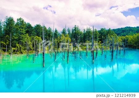 青い池 121214939