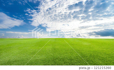 青空 広い芝生 草原 青空 広い芝生 草原 121215260
