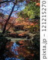 日本の神秘的な紅葉 121215270