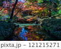 日本の神秘的な紅葉 121215271