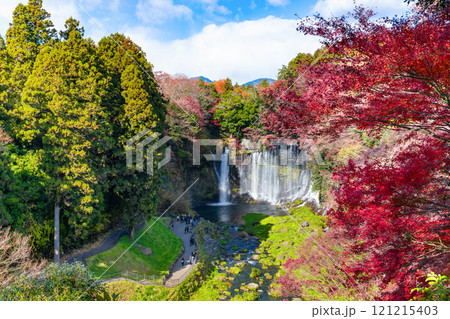 静岡県富士宮市　紅葉の白糸の滝 121215403