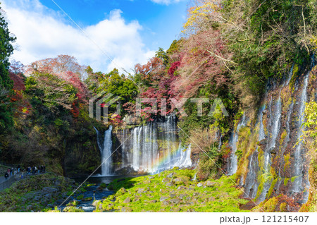 静岡県富士宮市　紅葉の白糸の滝 121215407