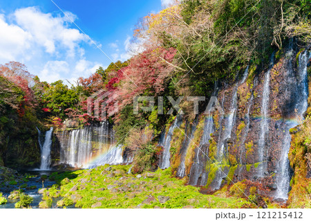 静岡県富士宮市　紅葉の白糸の滝 121215412