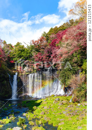 静岡県富士宮市 紅葉の白糸の滝 静岡県富士宮市 紅葉の白糸の滝 121215415
