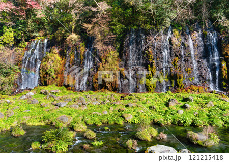 静岡県富士宮市　紅葉の白糸の滝 121215418