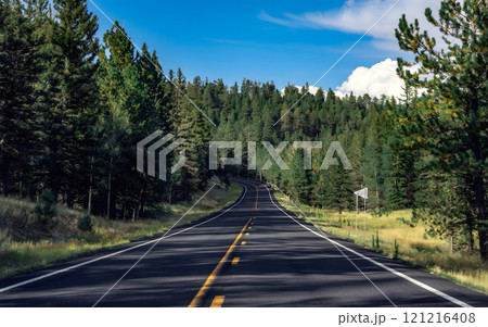 Winding Forest Road Winding Forest Road 121216408