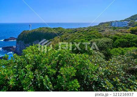 高知県土佐清水市の足摺岬展望台から足摺岬灯台、宿泊飲食店方面の眺望 121216937