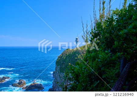 高知県土佐清水市の足摺岬遊歩道東側から足摺岬灯台方面の眺望 高知県土佐清水市の足摺岬遊歩道東側から足摺岬灯台方面の眺望 121216940
