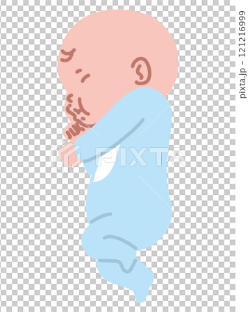 横向きでスヤスヤ寝る赤ちゃん 横向きでスヤスヤ寝る赤ちゃん 121216999