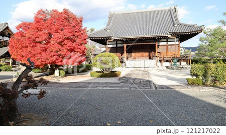 京都市上京区にある阿弥陀寺境内の風景 京都市上京区にある阿弥陀寺境内の風景 121217022