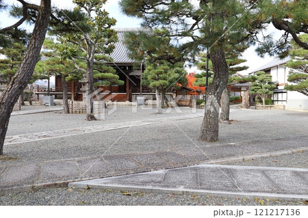 京都市上京区にある上善寺境内の風景 京都市上京区にある上善寺境内の風景 121217136