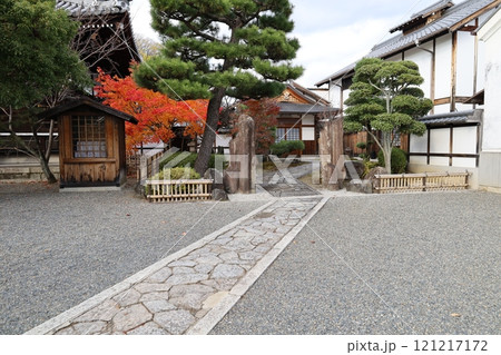 京都市上京区にある上善寺境内の風景 京都市上京区にある上善寺境内の風景 121217172