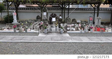 京都市上京区にある上善寺境内の風景 京都市上京区にある上善寺境内の風景 121217173