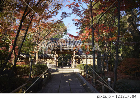 秋の紅葉とお寺 秋の紅葉とお寺 121217384