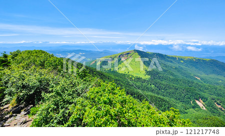 夏の四阿山・根子岳登山(四阿山山頂から根子岳・北アルプスの眺め) 夏の四阿山・根子岳登山(四阿山山頂から根子岳・北アルプスの眺め) 121217748