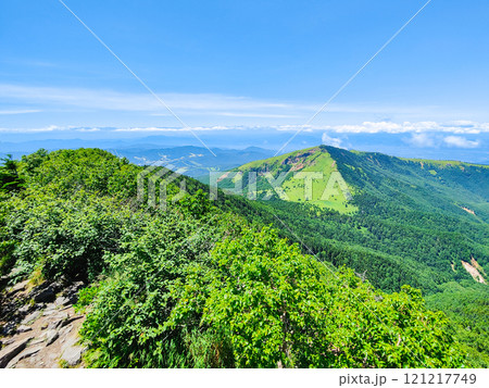 夏の四阿山・根子岳登山(四阿山山頂から根子岳・北アルプスの眺め) 夏の四阿山・根子岳登山(四阿山山頂から根子岳・北アルプスの眺め) 121217749