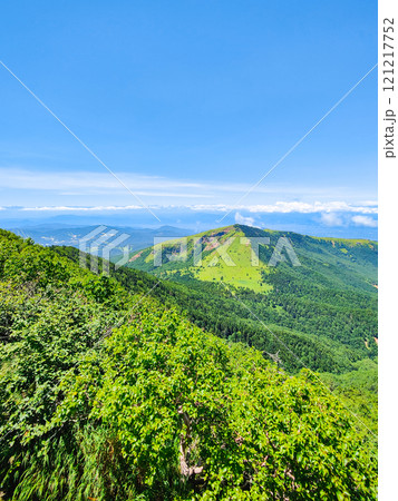 夏の四阿山・根子岳登山(四阿山山頂から根子岳・北アルプスの眺め) 夏の四阿山・根子岳登山(四阿山山頂から根子岳・北アルプスの眺め) 121217752