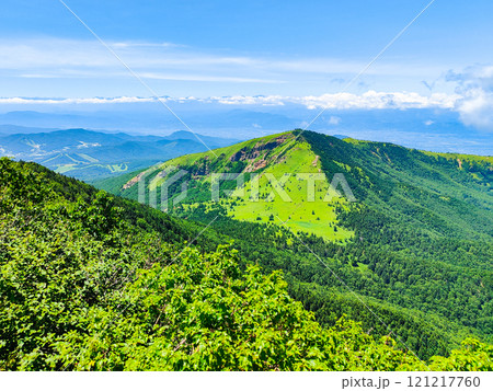 夏の四阿山・根子岳登山(四阿山山頂から根子岳・北アルプスの眺め) 夏の四阿山・根子岳登山(四阿山山頂から根子岳・北アルプスの眺め) 121217760