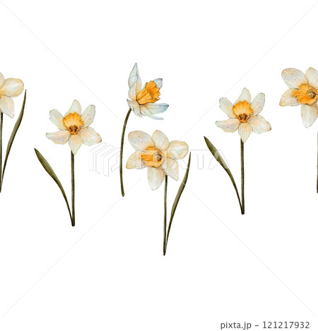 Seamless border, banner yellow daffodils 121217932