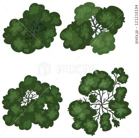 Top View of Diverse Greenery 121218194