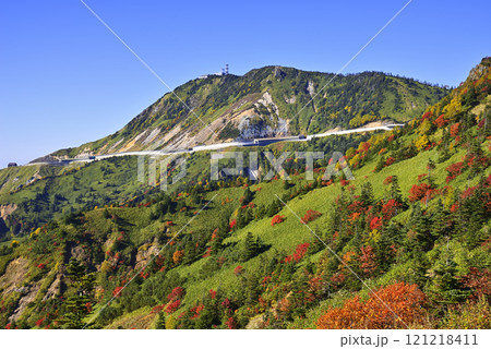 志賀高原 横手山 志賀高原 横手山 121218411