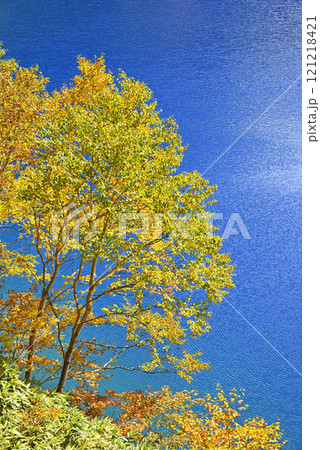 志賀高原　大沼池 121218421