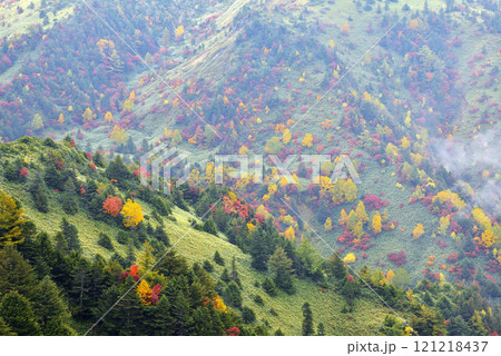紅葉 紅葉 121218437