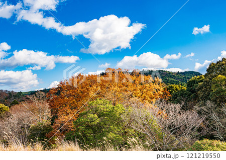 若草山鶯塚古墳からの景観　奈良市 121219550