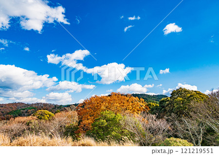 若草山鶯塚古墳からの景観　奈良市 121219551