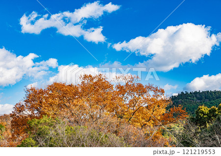若草山鶯塚古墳からの景観 奈良市 若草山鶯塚古墳からの景観 奈良市 121219553