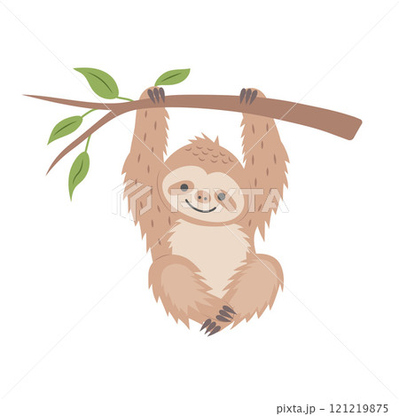 Cute sloth hanging on a branch isolated on white background. Cartoon nursery art baby character. Cute sloth hanging on a branch isolated on white background. Cartoon nursery art baby character. 121219875