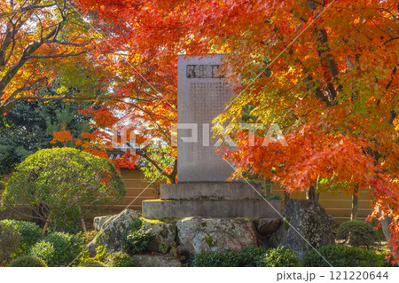 秋の京都 妙法院 紅葉に包まれた七卿落ち碑 秋の京都 妙法院 紅葉に包まれた七卿落ち碑 121220644