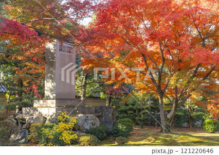 秋の京都　妙法院　紅葉に包まれた七卿落ち碑 121220646