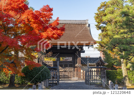 秋の京都 妙法院 紅葉に包まれた唐門 秋の京都 妙法院 紅葉に包まれた唐門 121220648