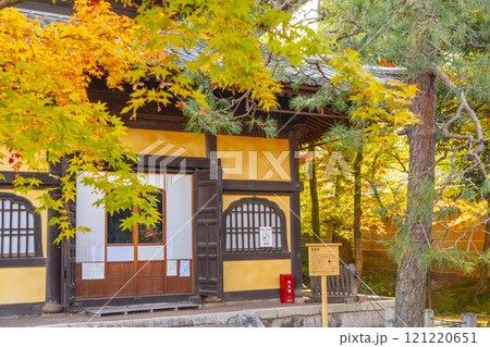 秋の京都　妙法院　紅葉に包まれた本堂（普賢堂） 121220651