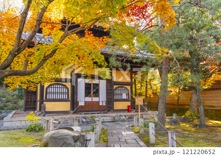 秋の京都　妙法院　紅葉に包まれた本堂（普賢堂） 121220652