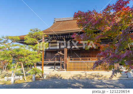 秋の京都　妙法院　紅葉に包まれた宸殿 121220654