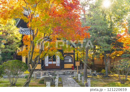秋の京都　妙法院　紅葉に包まれた本堂（普賢堂） 121220659