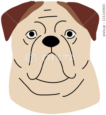 American bulldog head, dog avatar. Animal face, canine portrait. Purebred doggy, cute strong puppy muzzle. Serious funny pup snout. Flat vector illustration isolated on white background American bulldog head, dog avatar. Animal face, canine portrait. Purebred doggy, cute strong puppy muzzle. Serious funny pup snout. Flat vector illustration isolated on white background 121220983