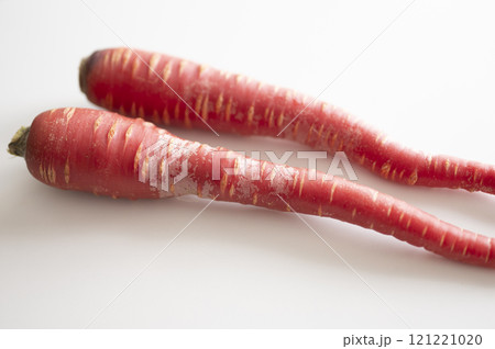 正月野菜金時人参 121221020