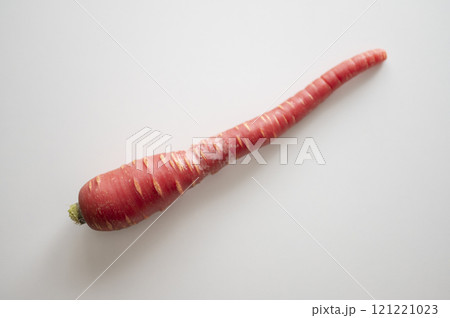 正月野菜金時人参 正月野菜金時人参 121221023
